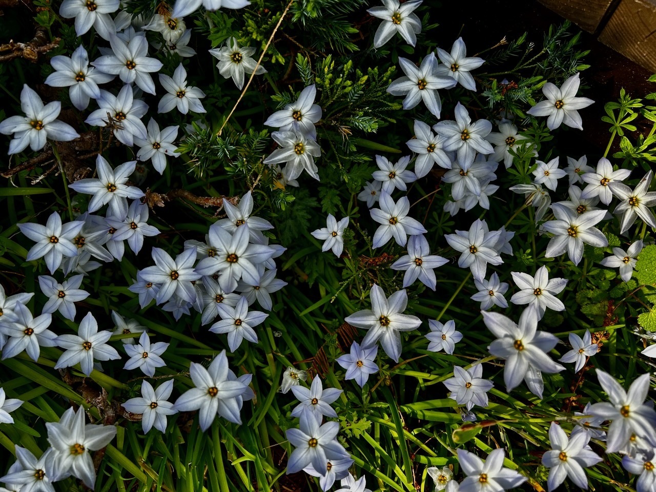 今日の新顔さん: KURIのブログ3